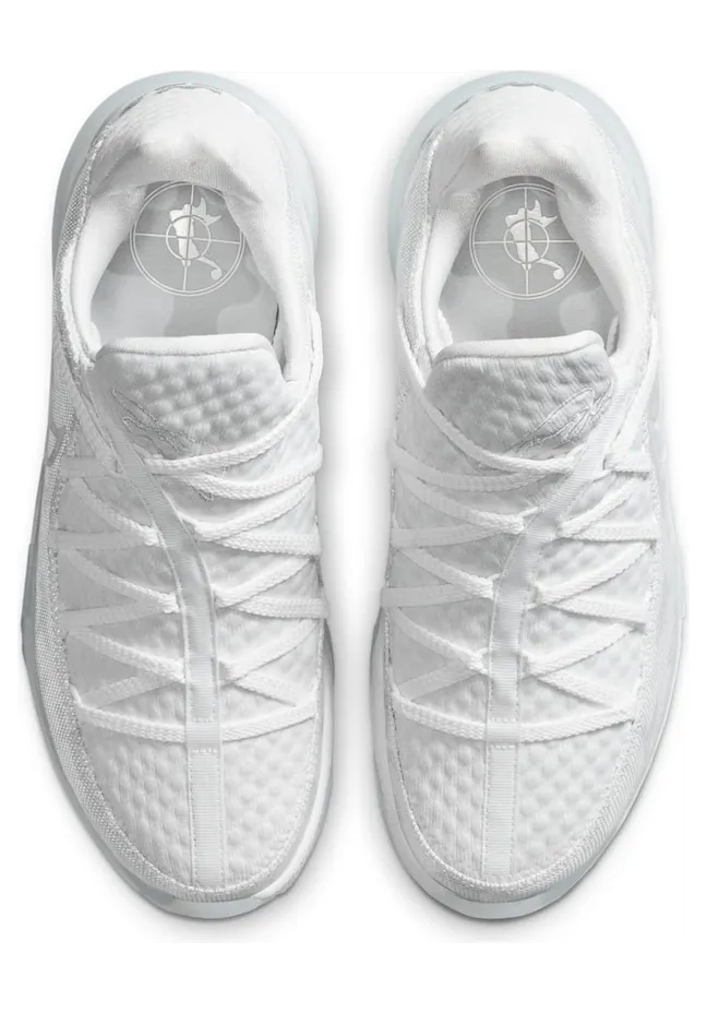 nike-lebron-17 CD5007-103