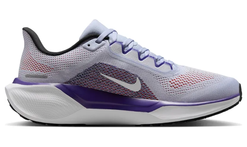nike-air-pegasus FD2723-013
