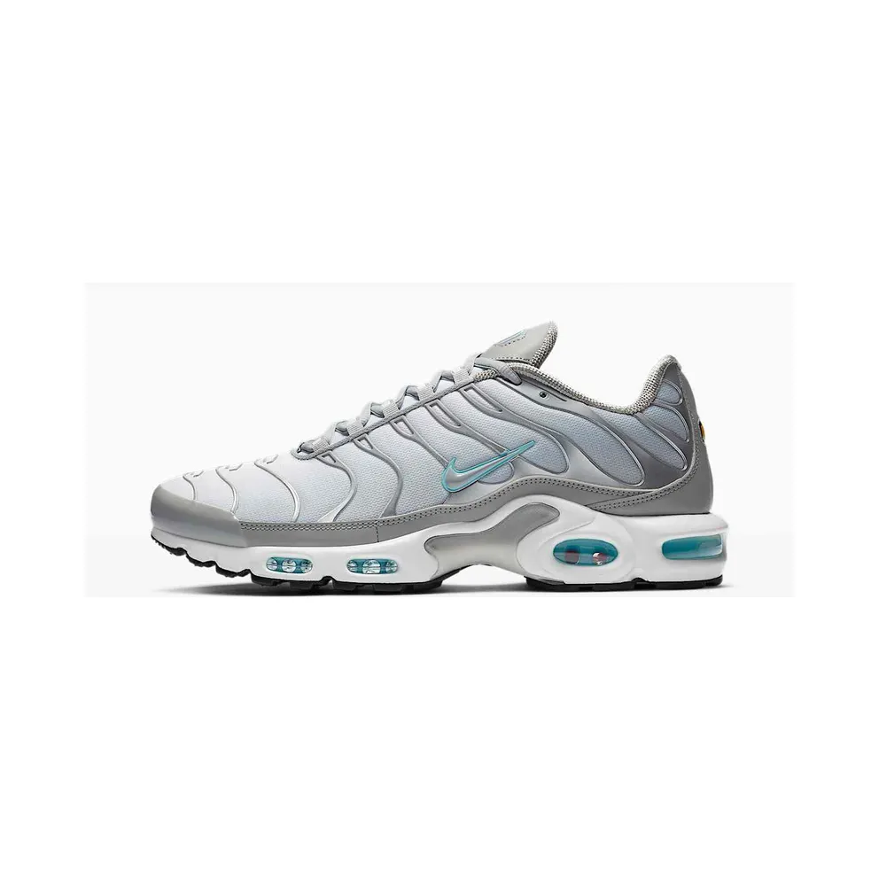 Nike Air Max Plus Grau (CZ7552-002)