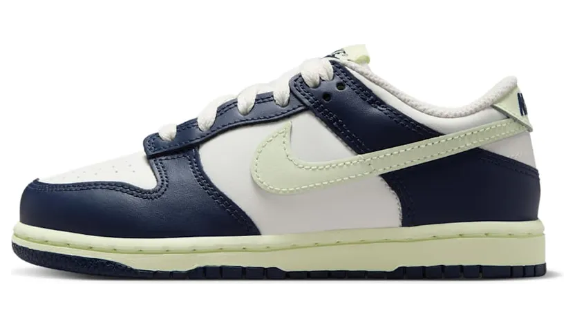 nike-dunk FB9108-127