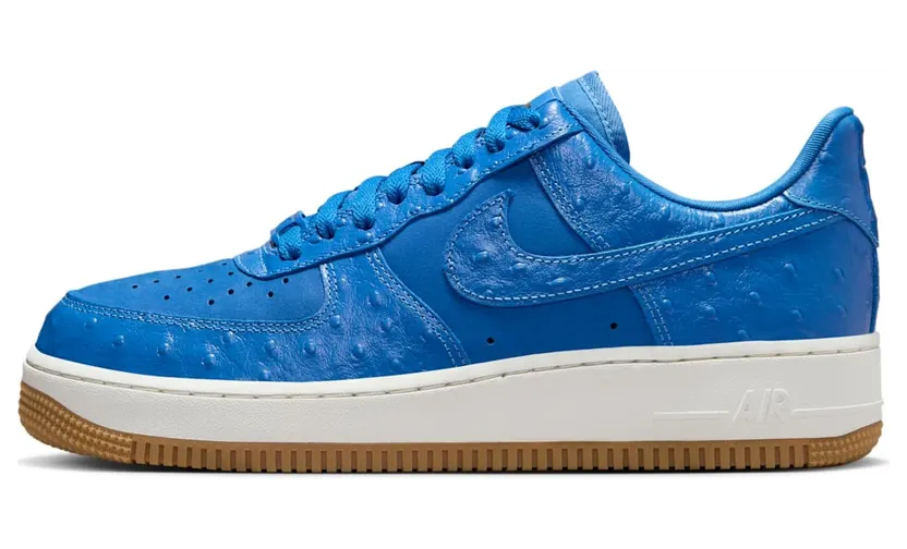 Nike Air Force 1 ’07 LX “Blue Ostrich” – DZ2708-400