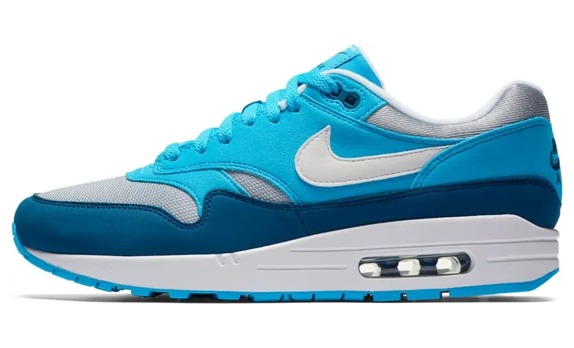 Nike Air Max 1 Blue Fury (AH8145-002)