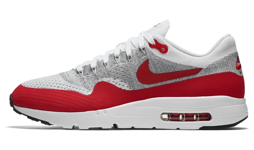 Nike Air Max 1 Flyknit OG (843384-101)