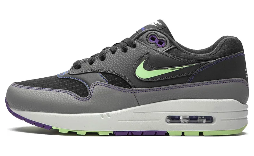 Nike Air Max 1 Future Swoosh Pack (CT1624-001)