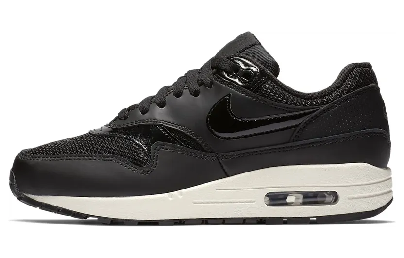 Nike Air Max 1 Stealth (W)