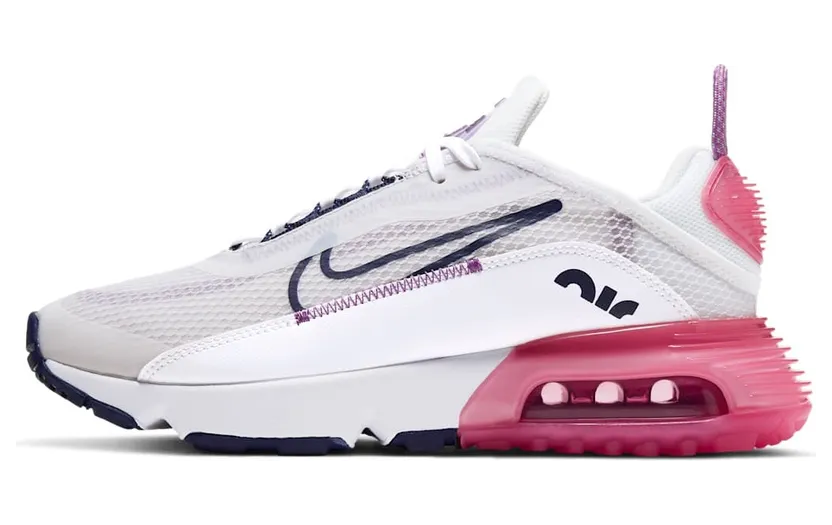 Nike Air Max 2090 Grau (CJ4066-003)