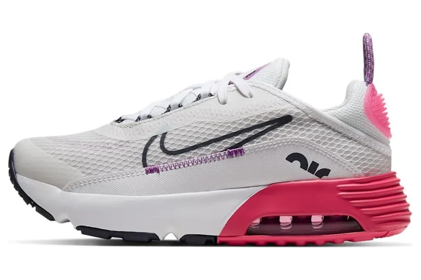 Nike Air Max 2090 Grau (CU2093-003)