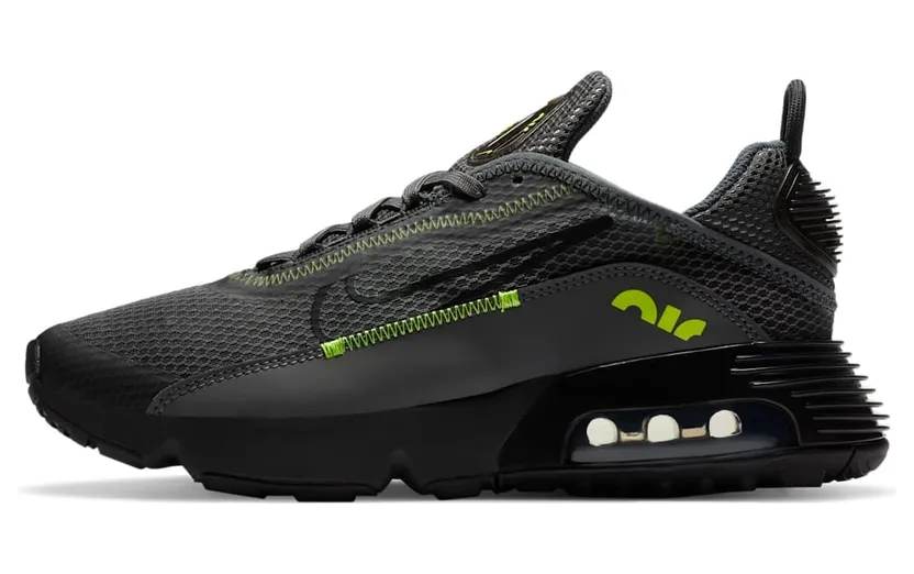 Nike Air Max 2090 Grau (DB2615-001)