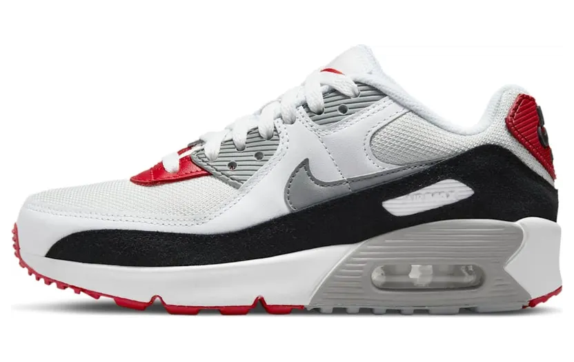 Nike Air Max 90 LTR Grau (CD6864-019)