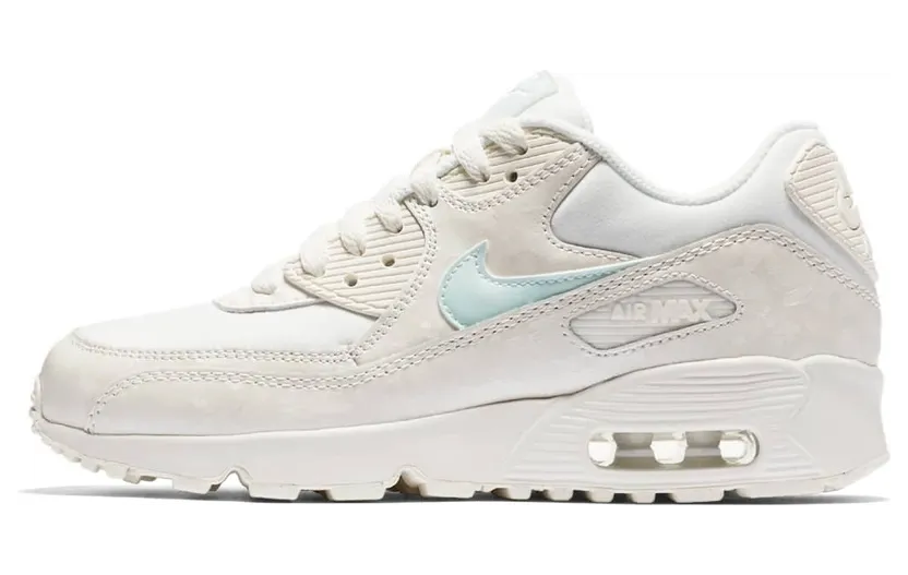 Nike Air Max 90 Sail Igloo (GS)