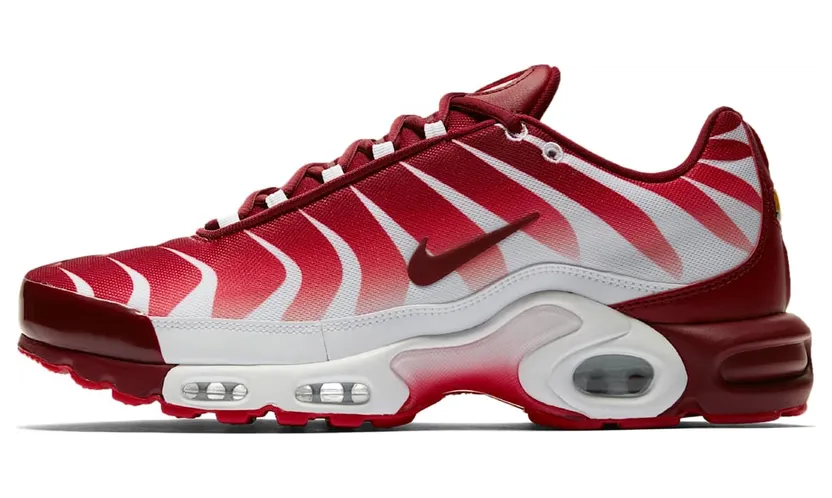 Nike Air Max Plus After the Bite (AQ0237-101)