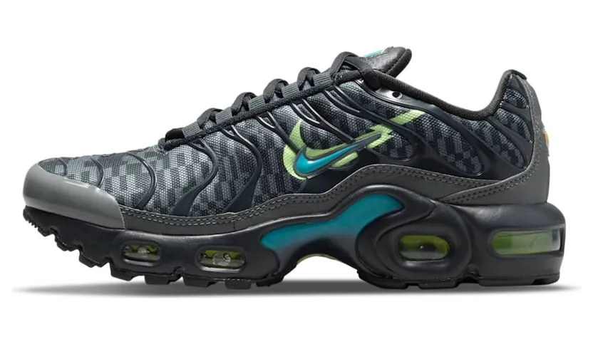 Nike Air Max Plus Grau (DM3266-001)