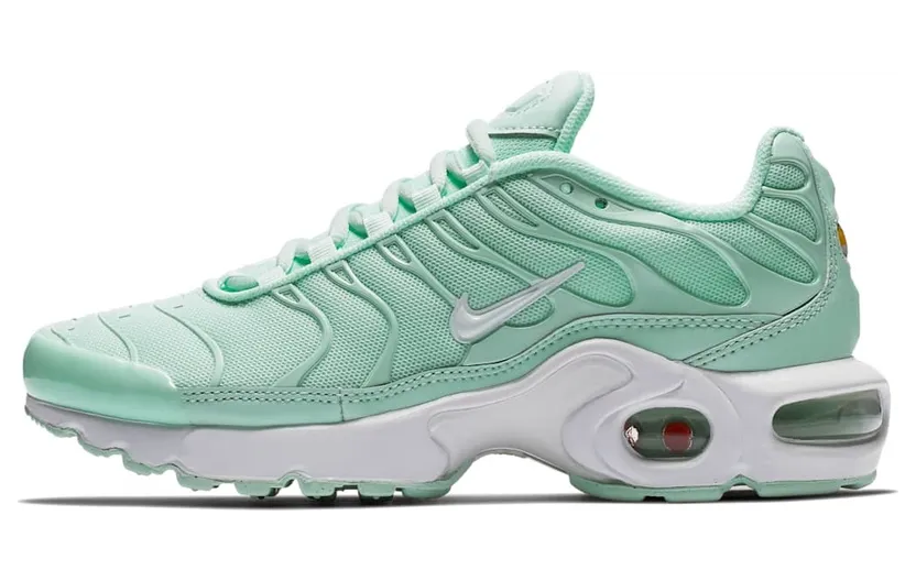 Nike Air Max Plus Igloo (GS)