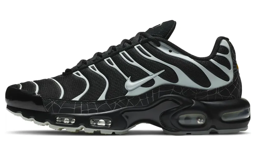 Nike Air Max Plus Schwarz (DD4004-001)