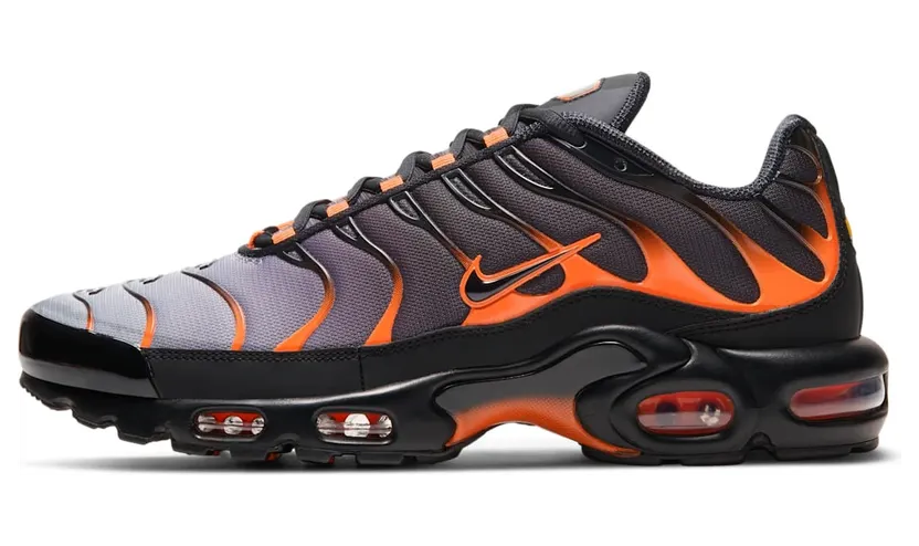 Nike Air Max Plus Schwarz (DD7111-002)