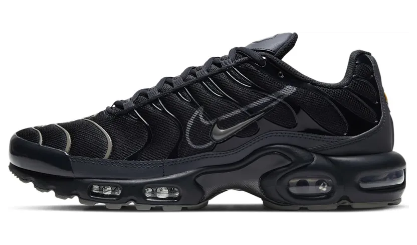 Nike Air Max Plus Schwarz (DH4100-001)