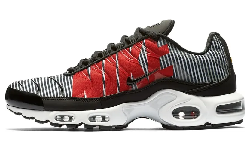 Nike Air Max Plus Striped Black White (AT0040-001)