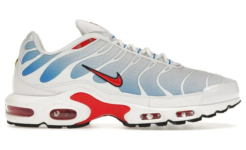 Nike Air Max Plus Tide (2022) (604133-423)