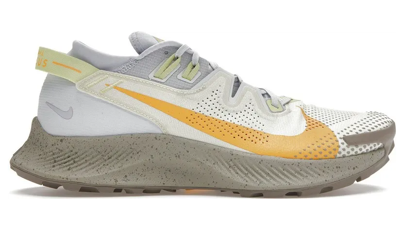 Nike Pegasus Trail 2 Grau (CK4309-001)