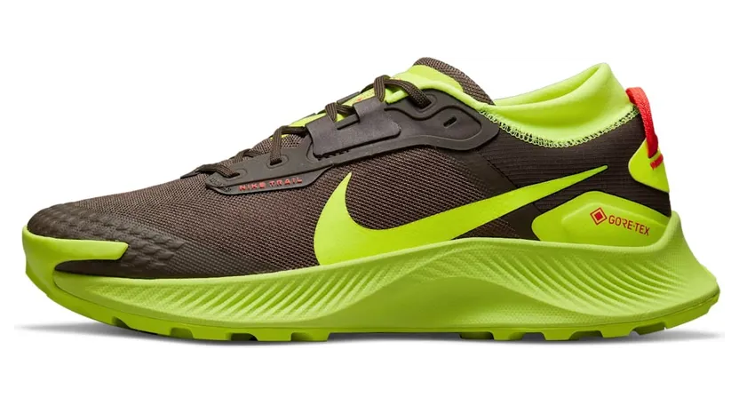 Nike Pegasus Trail 3 GORE-TEX wasserfester Trail-Laufschuh für Braun (DO6728-200)