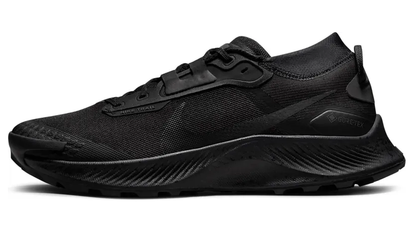 Nike Pegasus Trail 3 GORE-TEX wasserfester Trail-Laufschuh für Schwarz (DC8793-001)