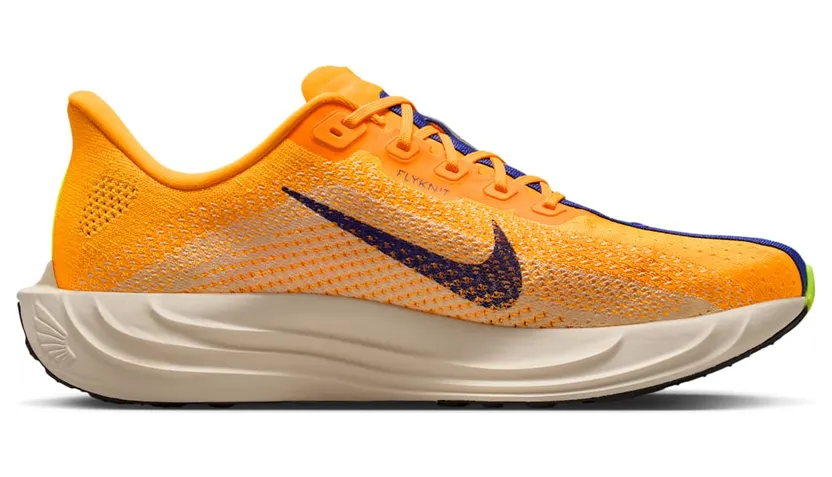 nike-air-pegasus FQ7262-801
