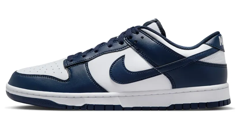 nike-dunk HF5441-107