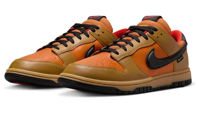 nike-dunk HQ2053-700