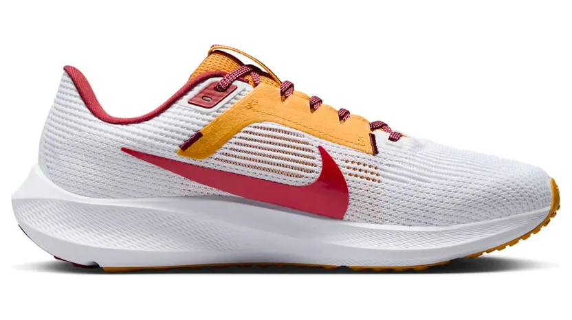 nike-air-pegasus DZ6003-100