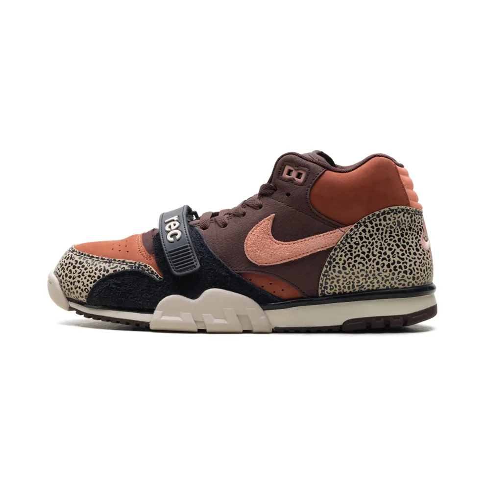Nike SB Air Trainer 1 “Arts-Rec – Limestone” (IF0501-200)