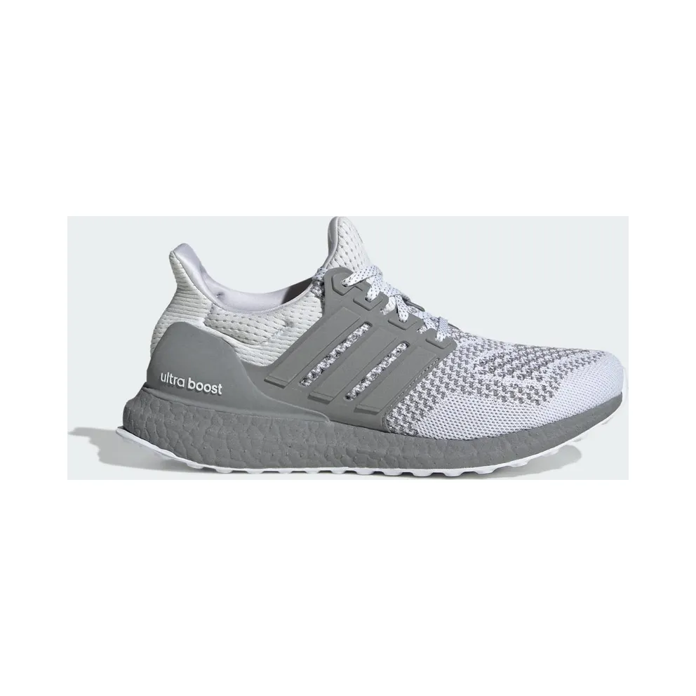 adidas Ultra Boost 1.0 Cloud White Silver Metallic Midsole (JQ5903)