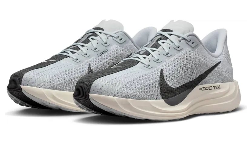 nike-air-pegasus FQ7262-017