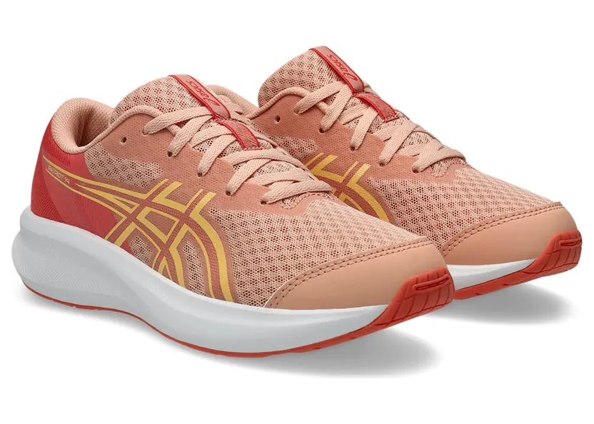 asics-patriot 1014A392-700