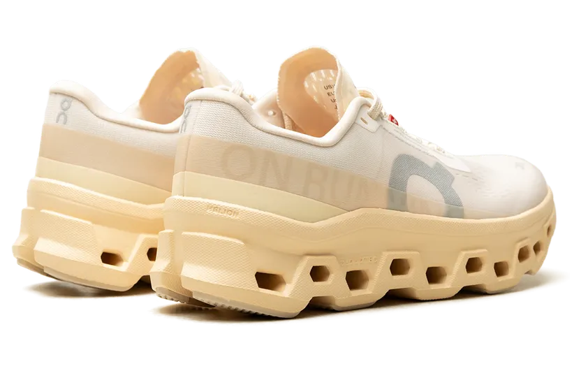 on-cloudmonster 3WF30484910