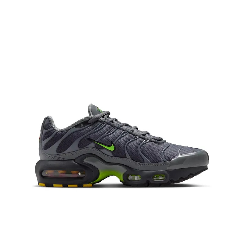 Nike Air Max Plus Grey (IF6169-084)