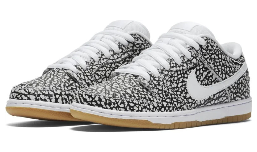 nike-dunk-sb 313170-110