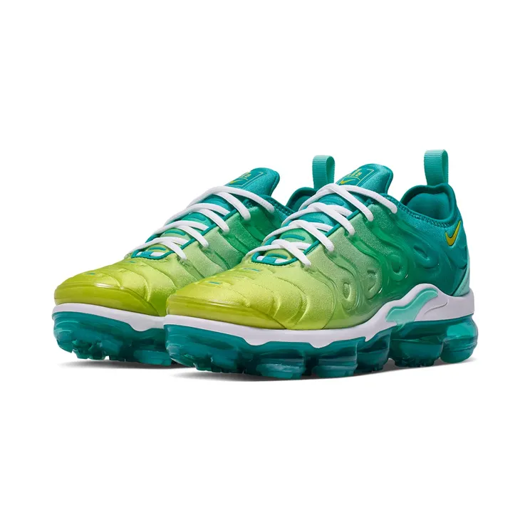 nike-air-vapormax CI9900-300