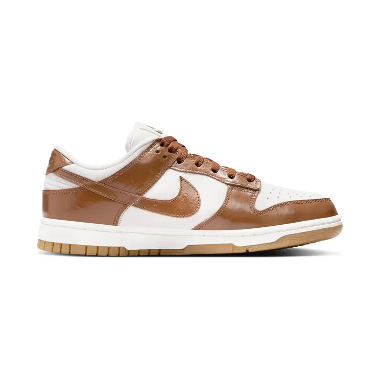 nike-dunk FJ2260-001