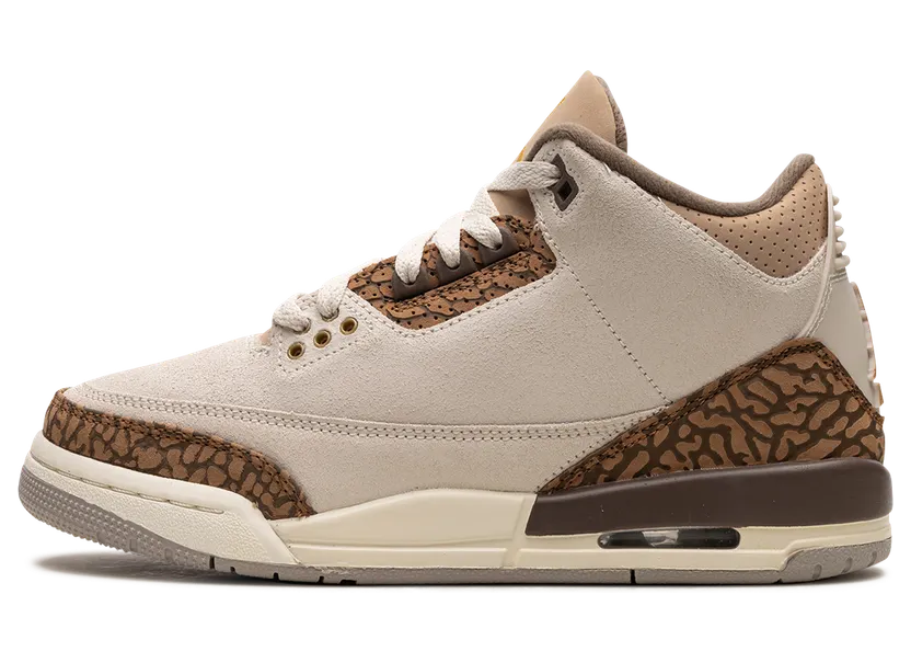 Air Jordan 3 GS “Palomino” (DM0967-102)