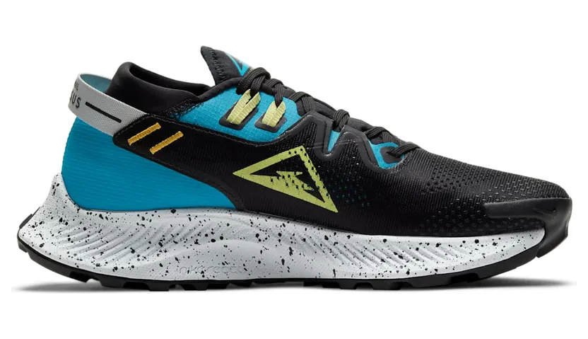 nike-air-pegasus CK4309-003