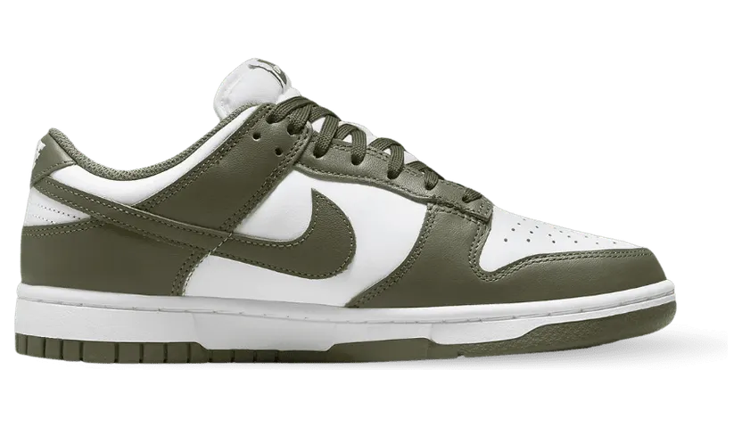 nike-dunk DD1503-120