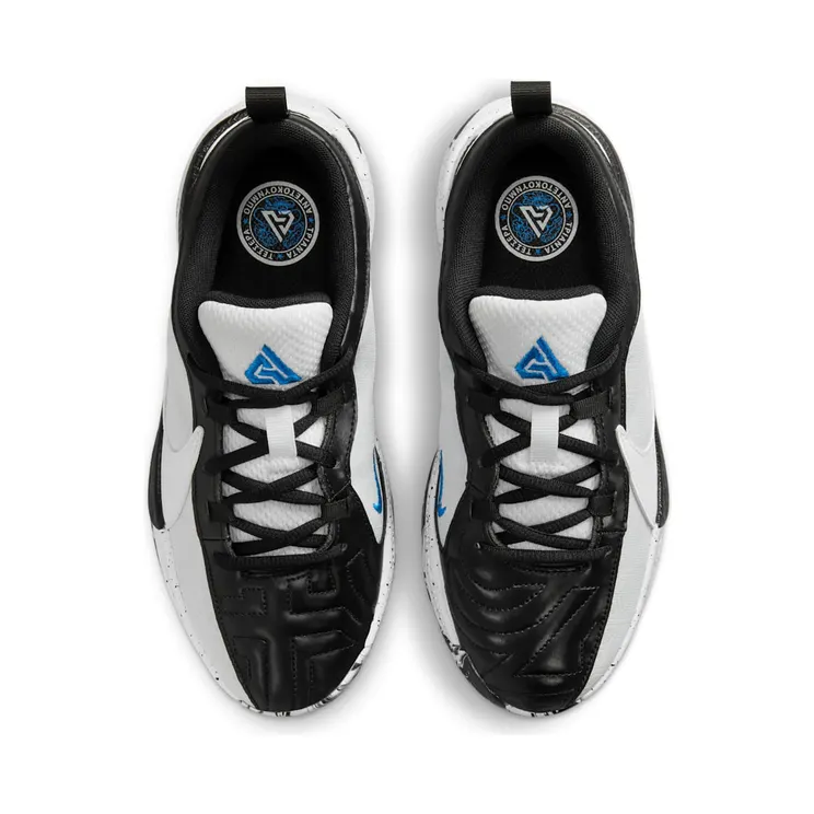 nike-zoom DZ4486-100
