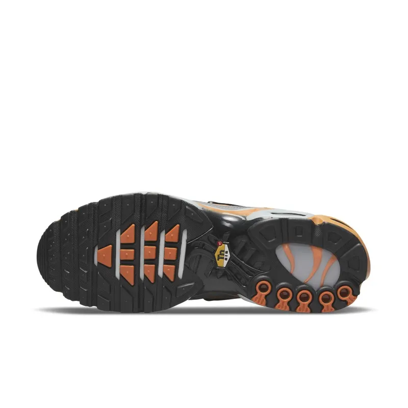 Nike Air Max Plus Grey (DM0032-001)