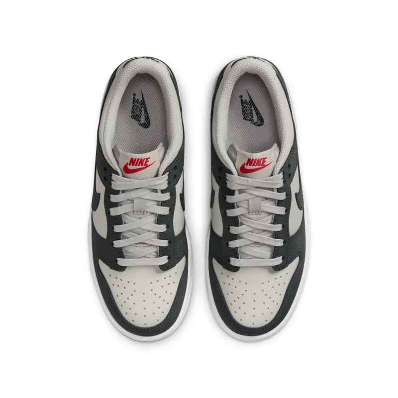 Nike Dunk Low GS “Anthracite” (FZ1000-001)