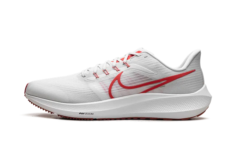 Nike Air Zoom Pegasus 39 “Platinum / Crimson” (DH4071-009)