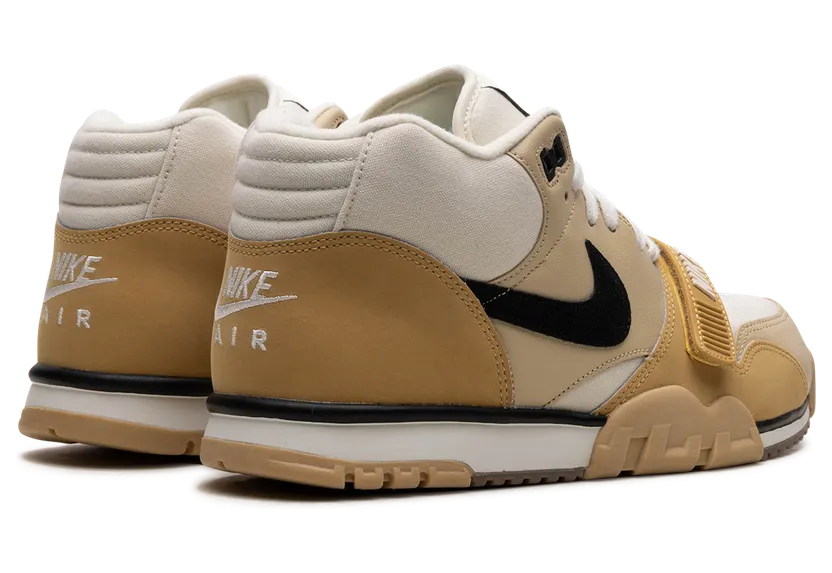 air-jordan-trainer-1 DV7201-100
