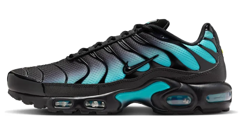 Nike Air Max Plus Black Dusty Cactus (DM0032-016)