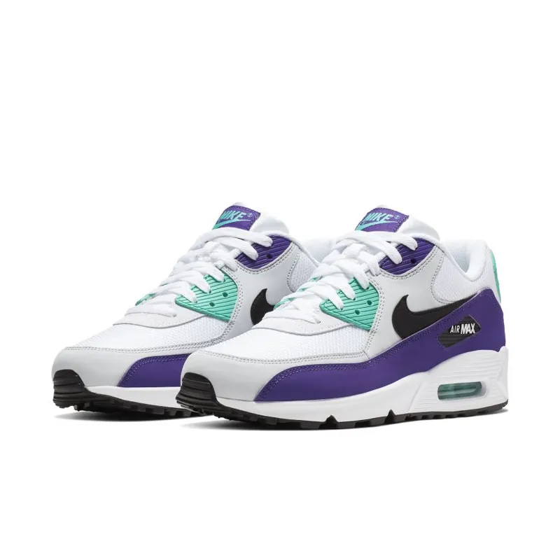Nike Air Max 90 Grape (2019) (AJ1285-103)