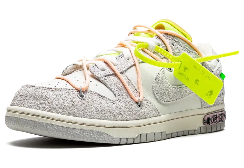 nike-dunk DJ0950-100
