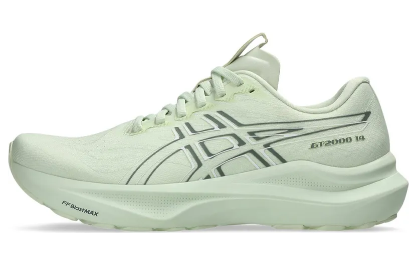 asics-gt-2000-2 1012B843-300